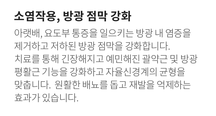 소염작용, 방광 점막 강화