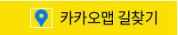 카카오맵 길찾기
